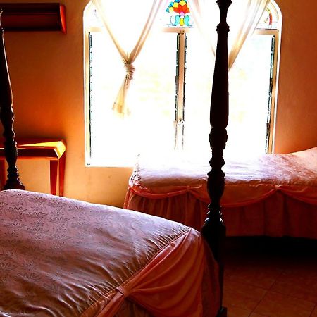 Banana Bank Lodge & Jungle Horseback Adventures เบลโมแพน ภายนอก รูปภาพ