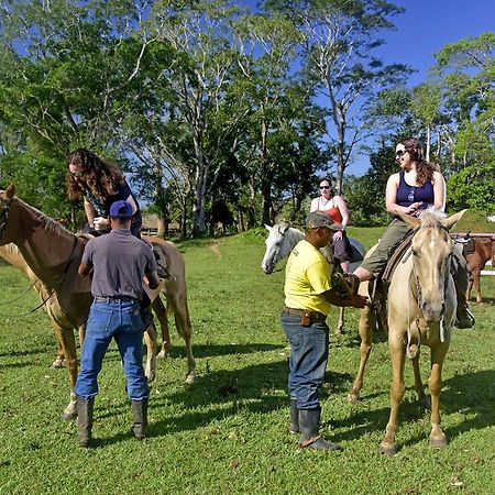 Banana Bank Lodge & Jungle Horseback Adventures เบลโมแพน ภายนอก รูปภาพ