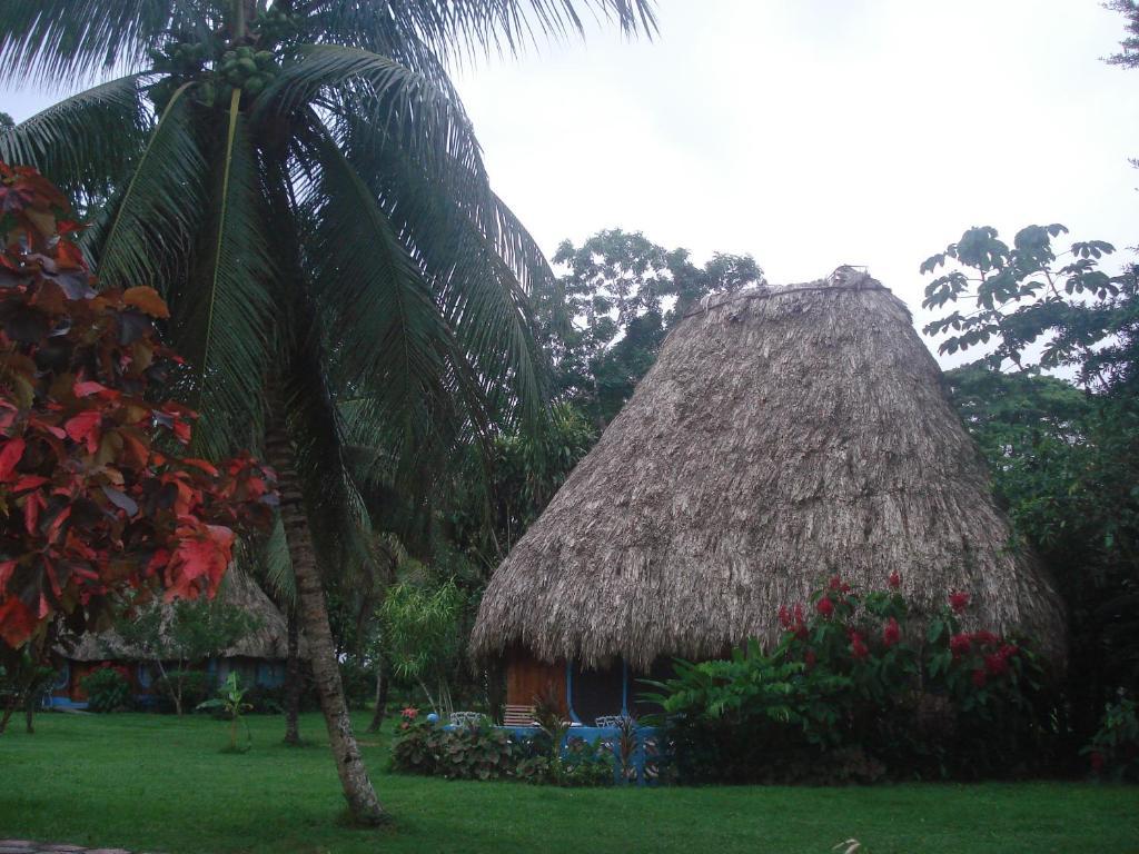 Banana Bank Lodge & Jungle Horseback Adventures เบลโมแพน ภายนอก รูปภาพ