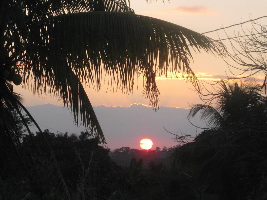 Banana Bank Lodge & Jungle Horseback Adventures เบลโมแพน ภายนอก รูปภาพ