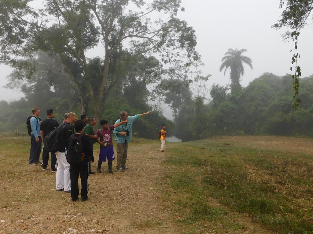 Banana Bank Lodge & Jungle Horseback Adventures เบลโมแพน ภายนอก รูปภาพ