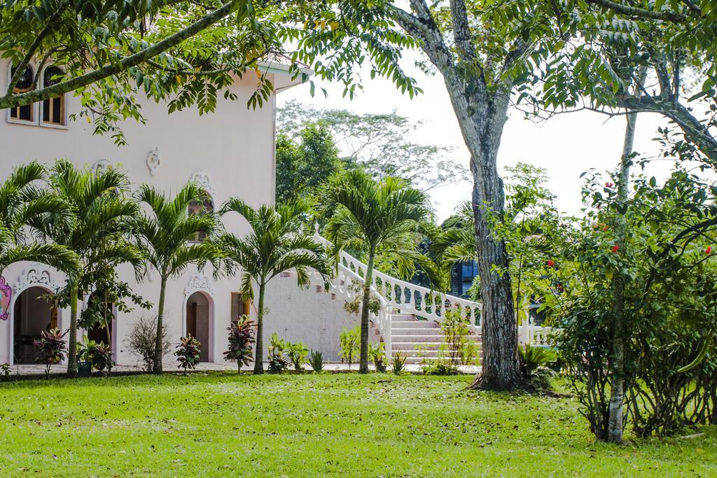 Banana Bank Lodge & Jungle Horseback Adventures เบลโมแพน ภายนอก รูปภาพ