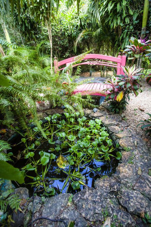 Banana Bank Lodge & Jungle Horseback Adventures เบลโมแพน ภายนอก รูปภาพ