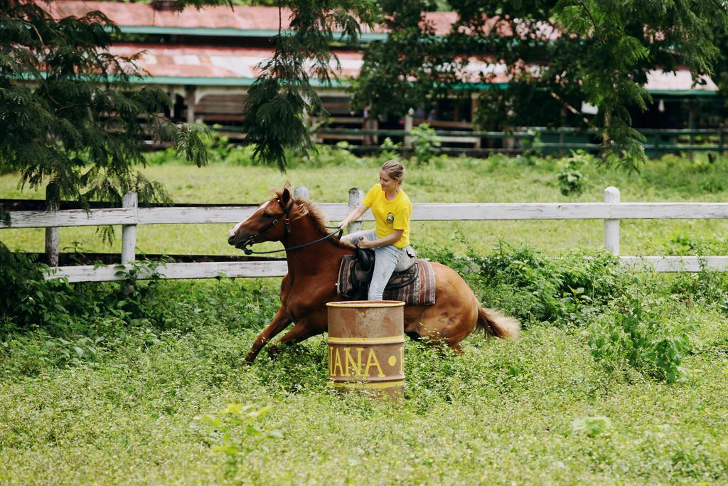 Banana Bank Lodge & Jungle Horseback Adventures เบลโมแพน ภายนอก รูปภาพ