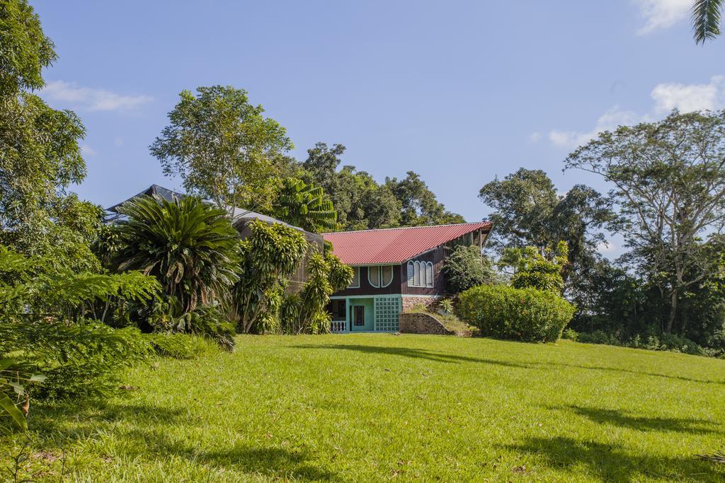 Banana Bank Lodge & Jungle Horseback Adventures เบลโมแพน ภายนอก รูปภาพ