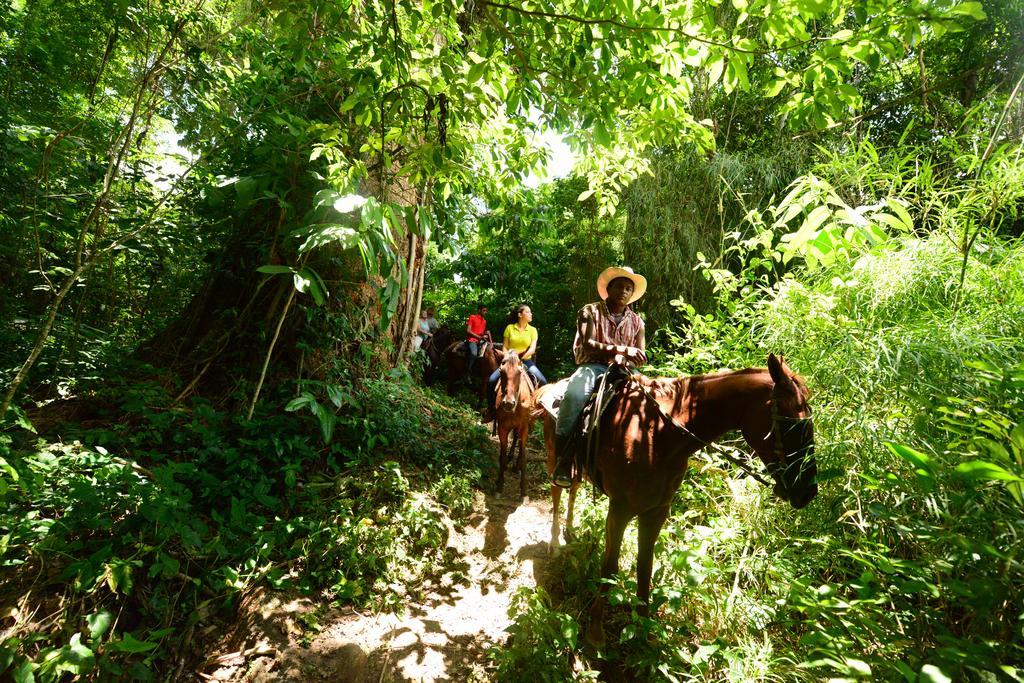 Banana Bank Lodge & Jungle Horseback Adventures เบลโมแพน ภายนอก รูปภาพ