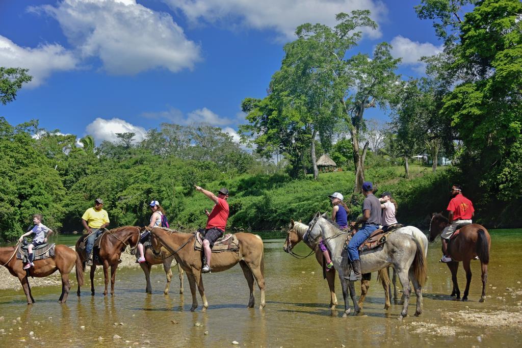 Banana Bank Lodge & Jungle Horseback Adventures เบลโมแพน ภายนอก รูปภาพ