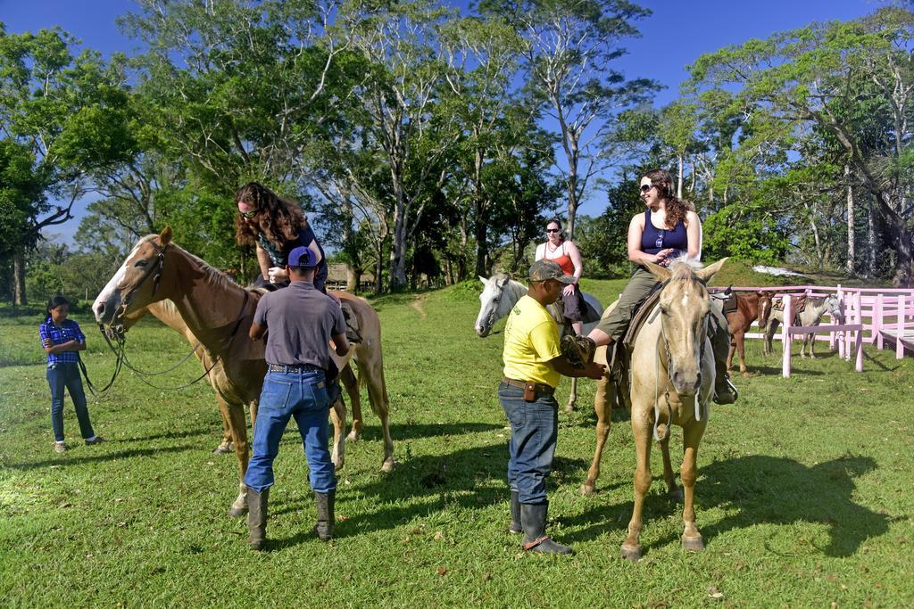 Banana Bank Lodge & Jungle Horseback Adventures เบลโมแพน ภายนอก รูปภาพ
