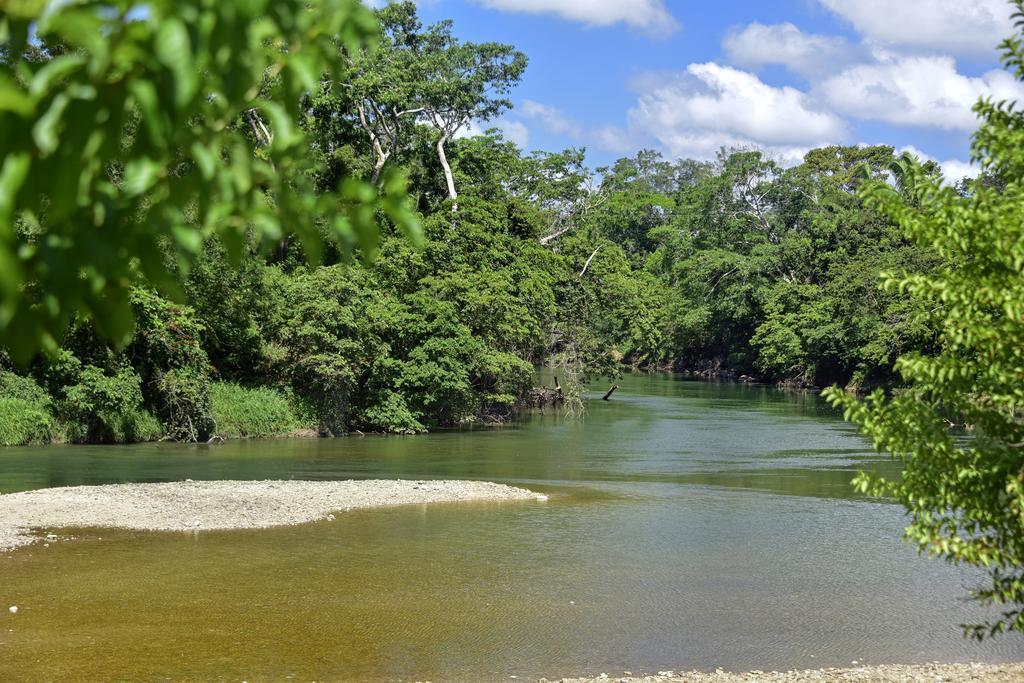 Banana Bank Lodge & Jungle Horseback Adventures เบลโมแพน ภายนอก รูปภาพ